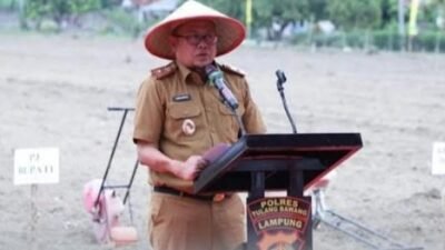 Pj Sekda Tulang Bawang Apresiasi Program Penanaman Jagung Serentak 1 Juta Hektar